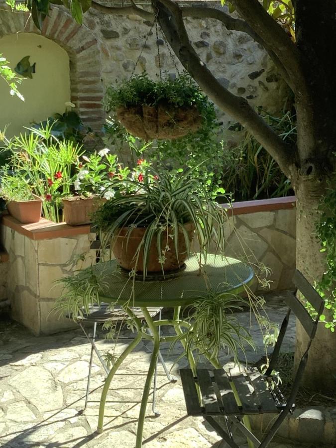 Mas Grandiflora Villa Espira-de-l'Agly Esterno foto